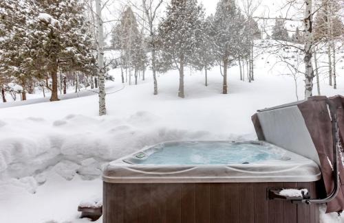 Alpine Northeast House | Magnificent Cabin with Spa and Luxurious Interior in Wyoming