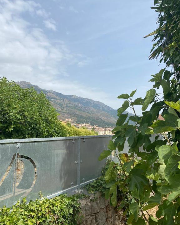 Corte House | Maison à Corte (Centre Corse) avec piscine et jardin