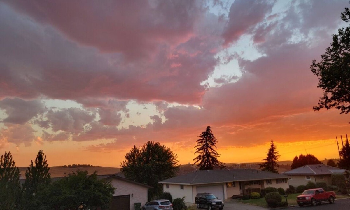 Steptoe House | Mid-century Modern Home on the Hill - Stunning Sunsets