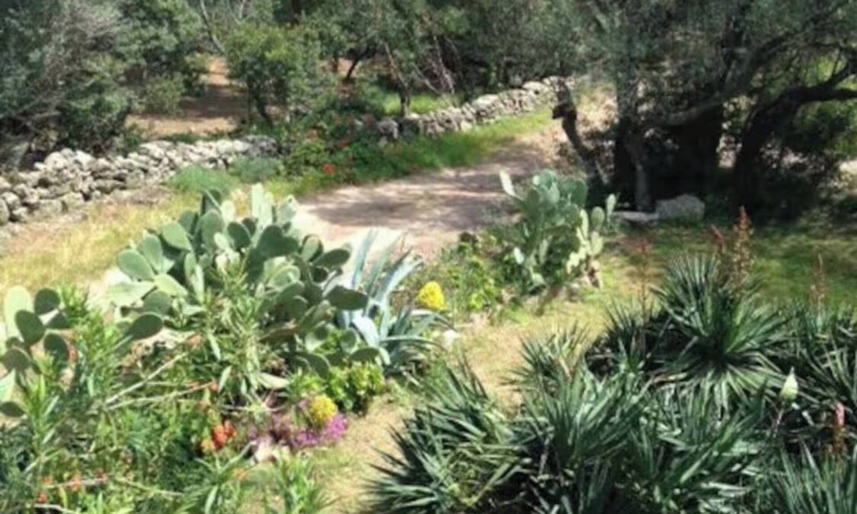 Cala Rossa Apartment | MINI VILLA ST CYPRIEN