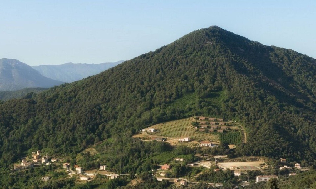 Vico House | Mini-villas 8 Personnes