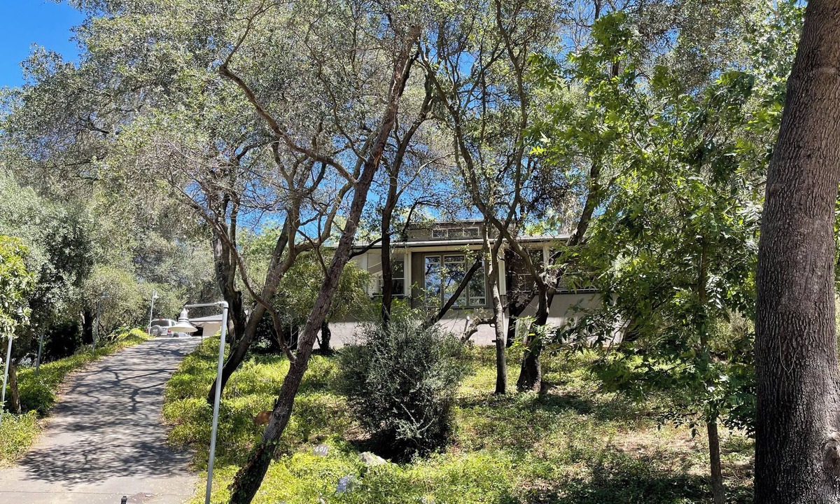 Fair Oaks House | Modern Architectural Sanctuary Tree House in Fair Oaks Village