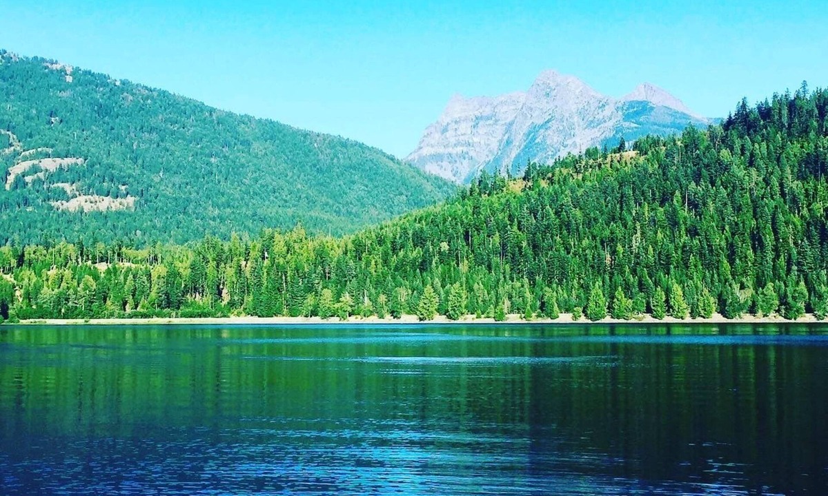 Troy Cabin | Nature Lover's Dream. Tiny Cabin with Grand Serenity.