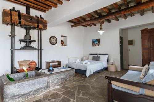 Andros Town Apartment | Olive Guesthouse near farm