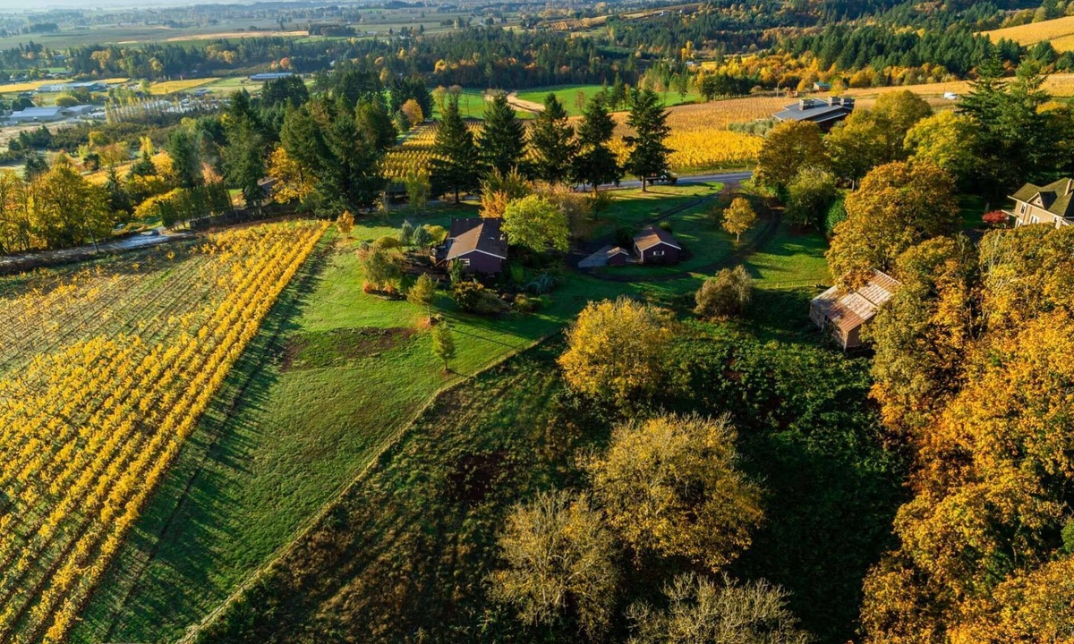 Dundee House | Panoramic Vineyard Views, Pet Friendly, New Deck, Game Room, Ping Pong, Darts, Walk to Vineyards