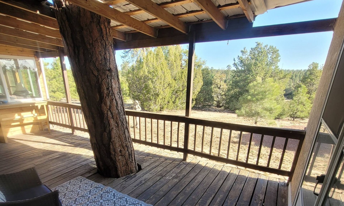 Allison Apartment | Peaceful Guest Suite Amongst The Tall Pines! Gaze at the stars from the hot tub!
