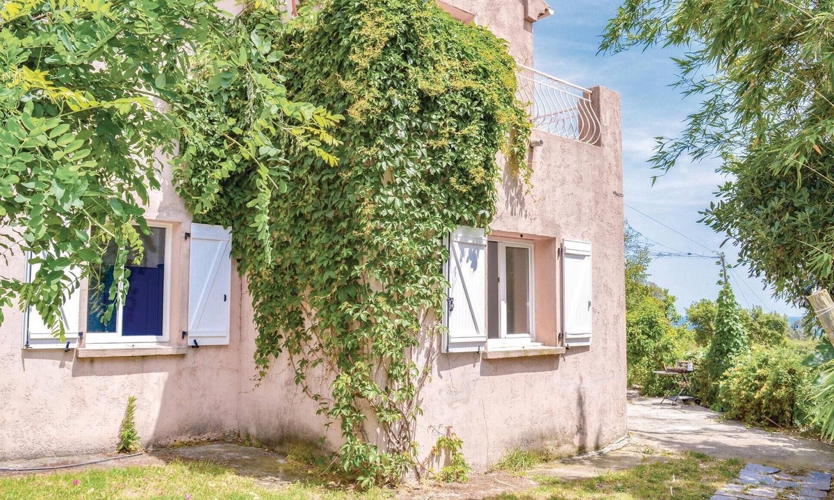 Talasani Apartment | Pet friendly apartment in Talasani