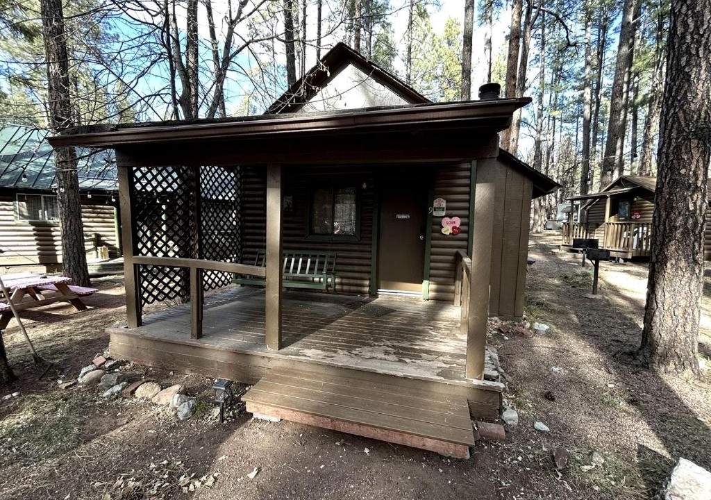 Christopher Creek House | Pet Friendly Studio Cabin with Kitchenette and BBQ, Perfect for a Weekend in the Forest of Christopher Creek