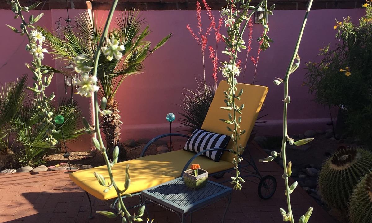 Blenman-Elm House | Private bedroom and bath across from the U of A and TMC. Hot tub & BBQ