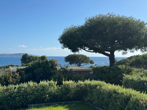 Porticcio Apartment | Proche porticcio, Coup de cœur asuré,Appartement de standing, rez de villa 6 couchages, climatisé à 150m de la plage, terrains de tennis
