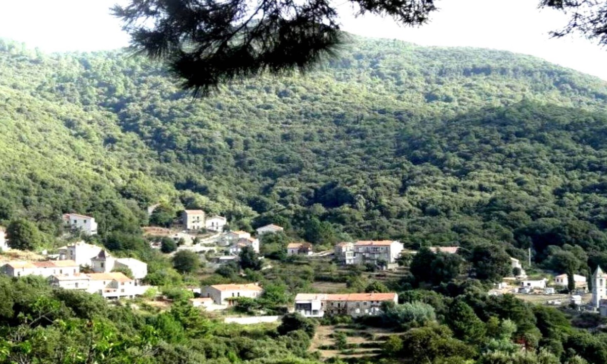 San-Gavino-di-Carbini House | PROMO Rent village house in gualdariccio a proch zonza propriano