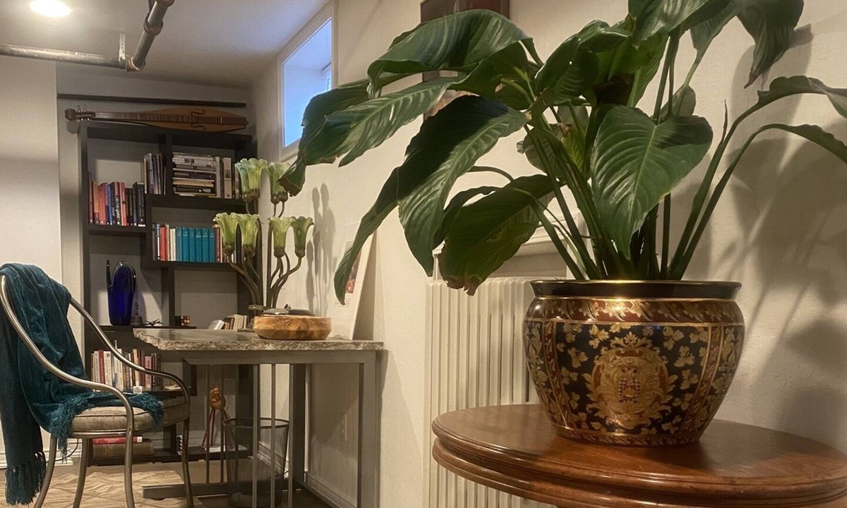 Latah Valley Apartment | Quiet Haven in Historic Neighborhood