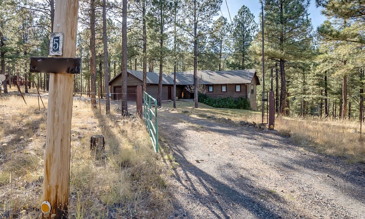 Greer Cabin | Retro Grandma Mountain Family Retreat~Summit Pines
