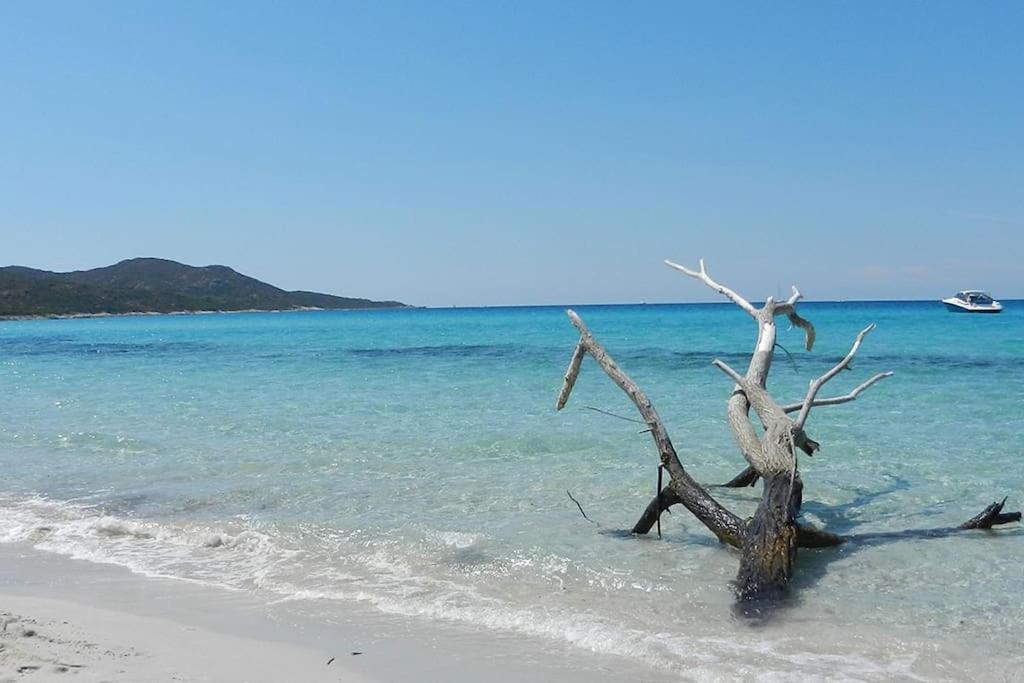 Saint-Florent Apartment | Saint florent/haute corse