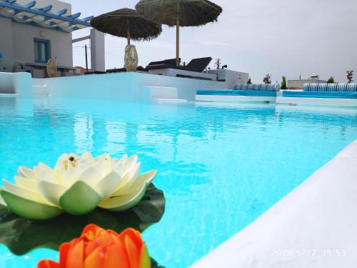 Kamari Villa | Santoxenia luxury villa