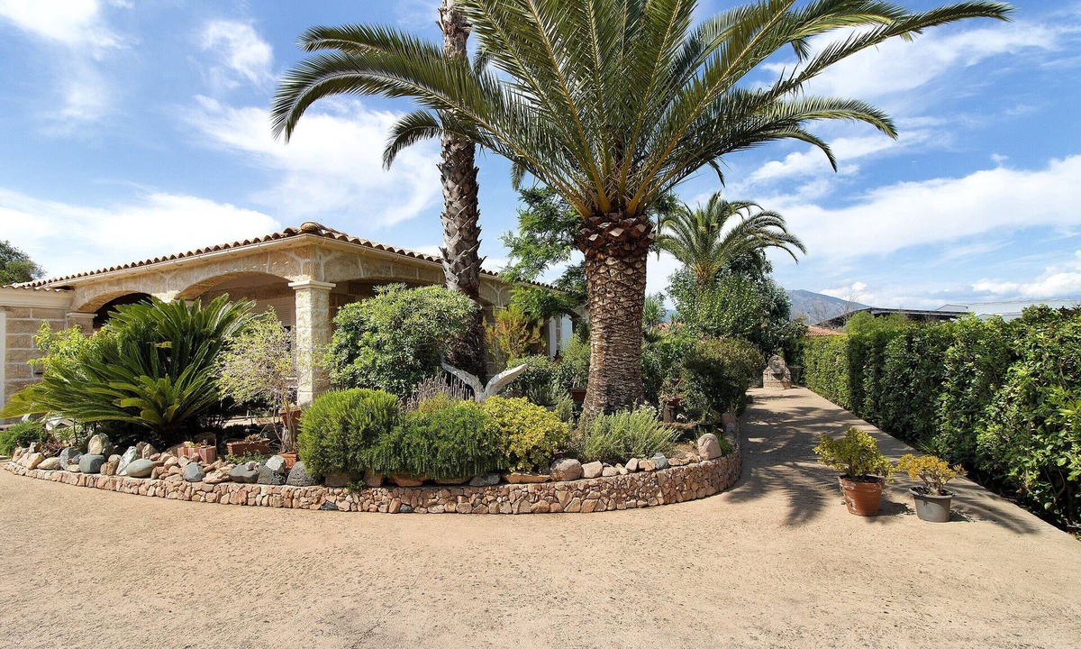 Sarrola-Carcopino Bed & Breakfast | Sea and Canopy Rooms: Mountain View, Shared Terrace and Garden