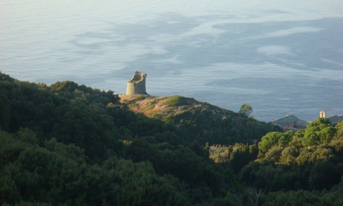Pino Apartment | SEASONAL APARTMENT RENTAL IN PINO CAP CORSE FOR 3 PEOPLE.