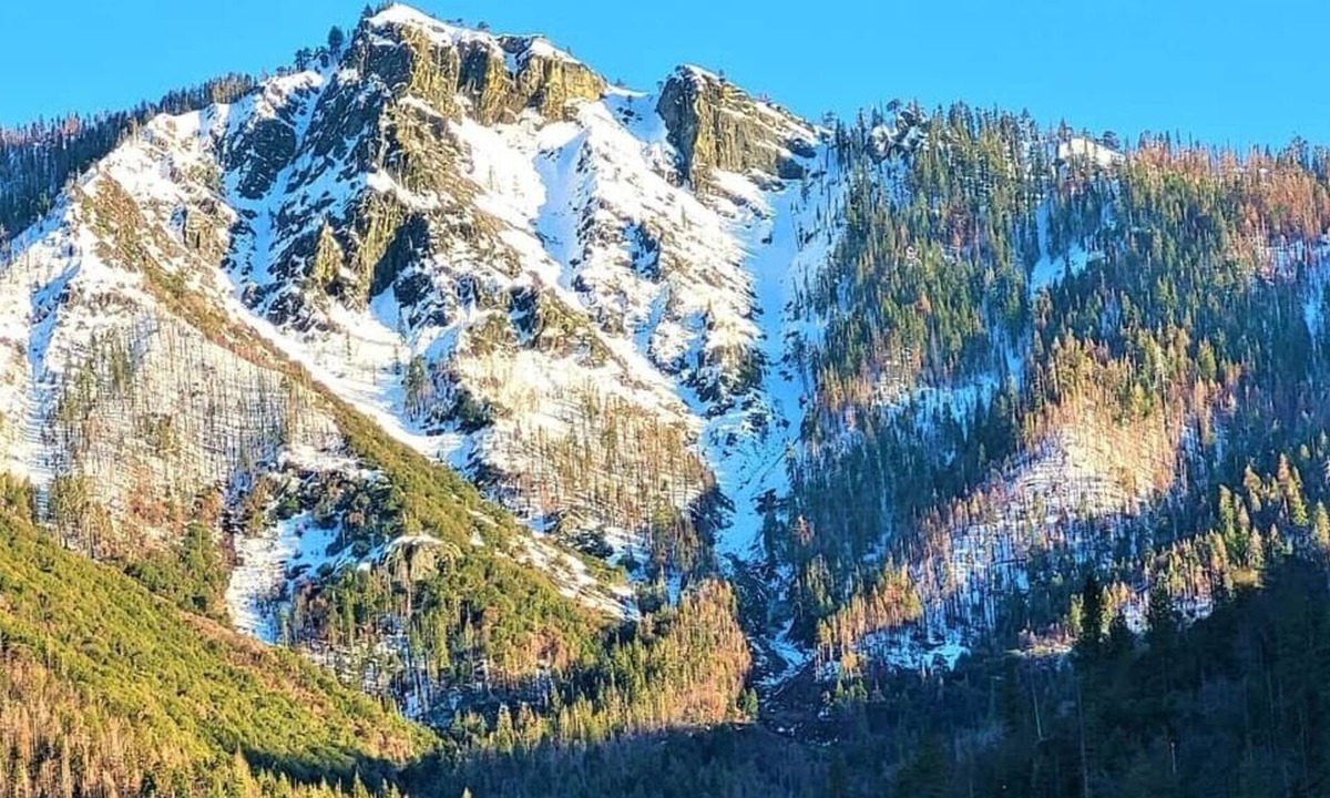 Camp Nelson House | Sequoia Trails - Trees, Mountain Adventure and A/C