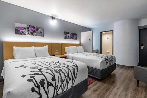 Jerome Hotel | Sleep Inn & Suites Jerome - Twin Falls