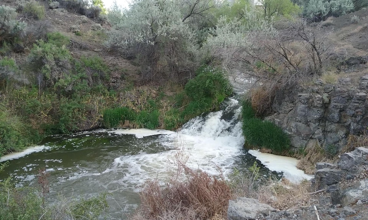 Buhl House | Snake R. Canyon/Creekside Retreat. Near 1000 Springs/Hot Springs/Balanced Rock