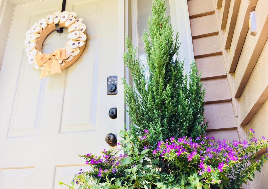 North Charleston Apartment | Southern Sophistication at the Park