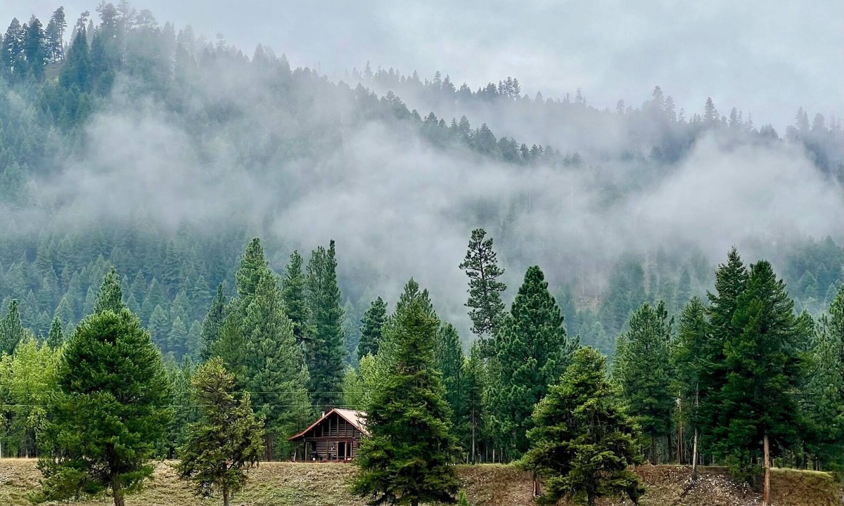 Darby Cabin | Spacious Log Cabin with Beautiful Views