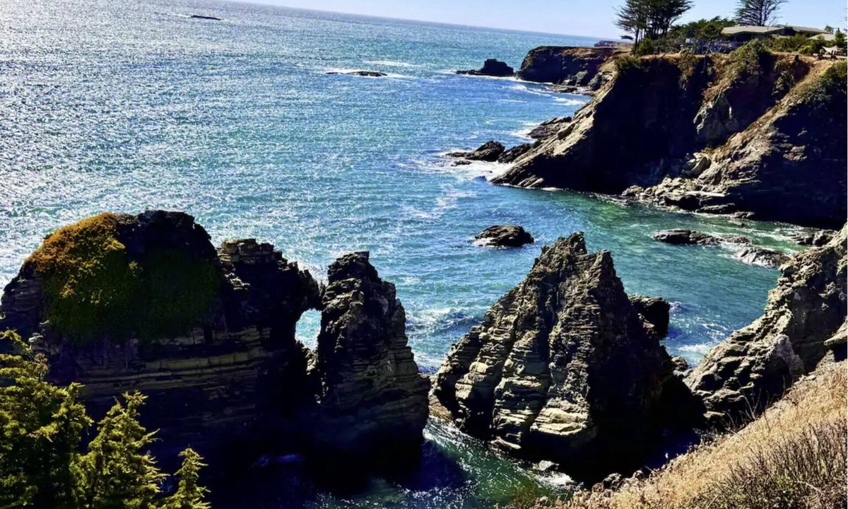 Gualala House | Spectacular Oceanfront, massive fenced yard, with Spa Mendocino Coast in Gualala