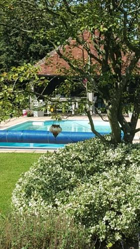 Godshill Bed & Breakfast | Street Farmhouse