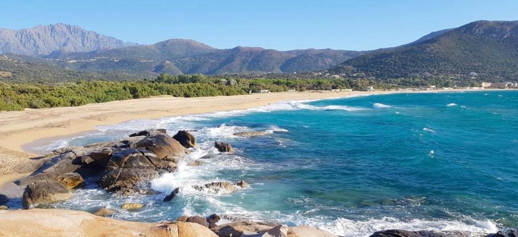 Aregno Apartment | T2 climatisé avec terrasse a 500 m de la plage - ALGAJOLA