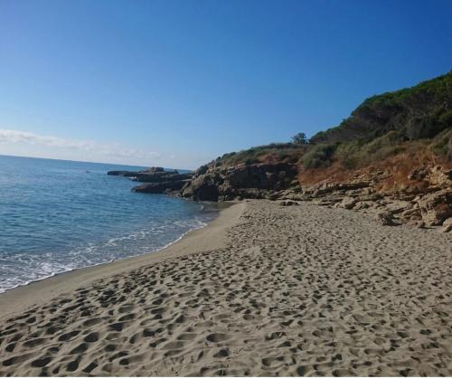 Bravone Apartment | T2 paradisiaque en bord de mer et piscine