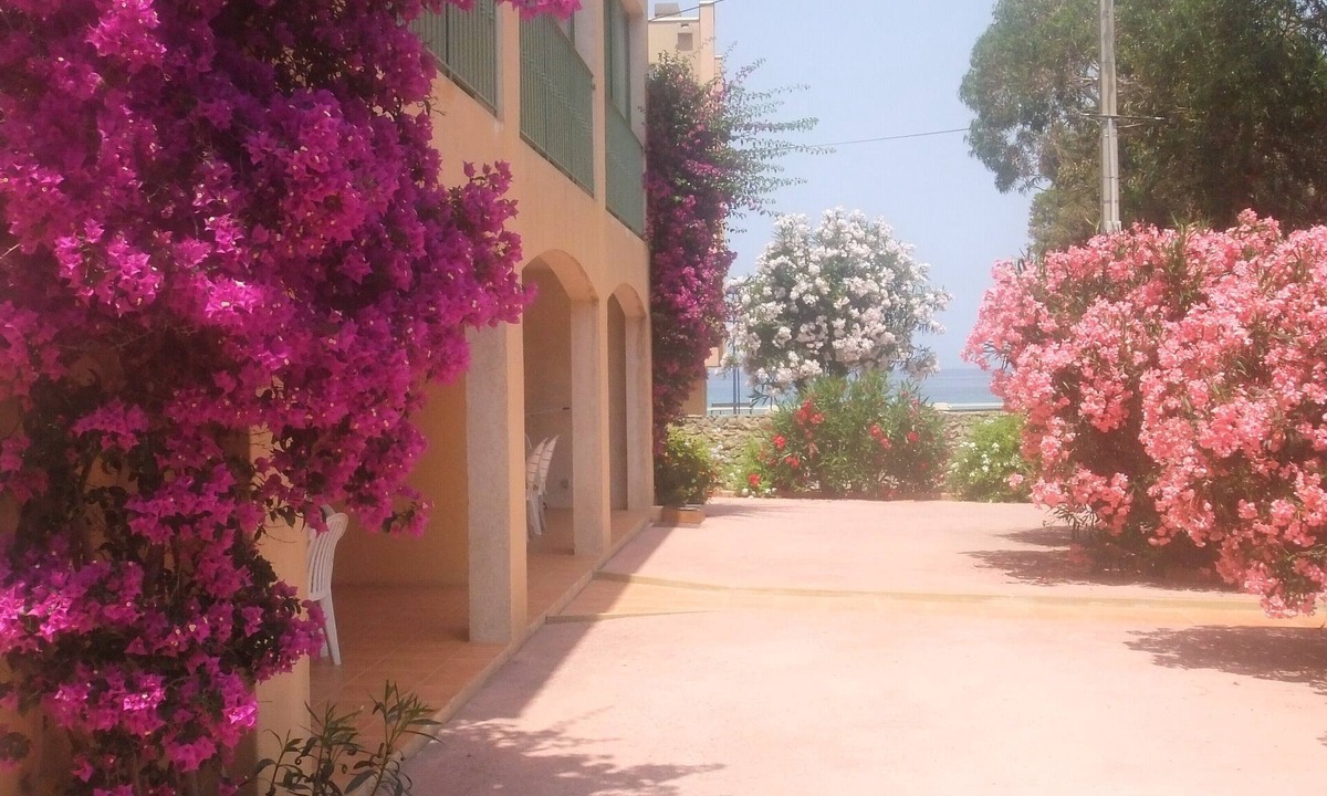 L'Ile-Rousse Apartment | T3 2 steps from the beach and 150m from the town center