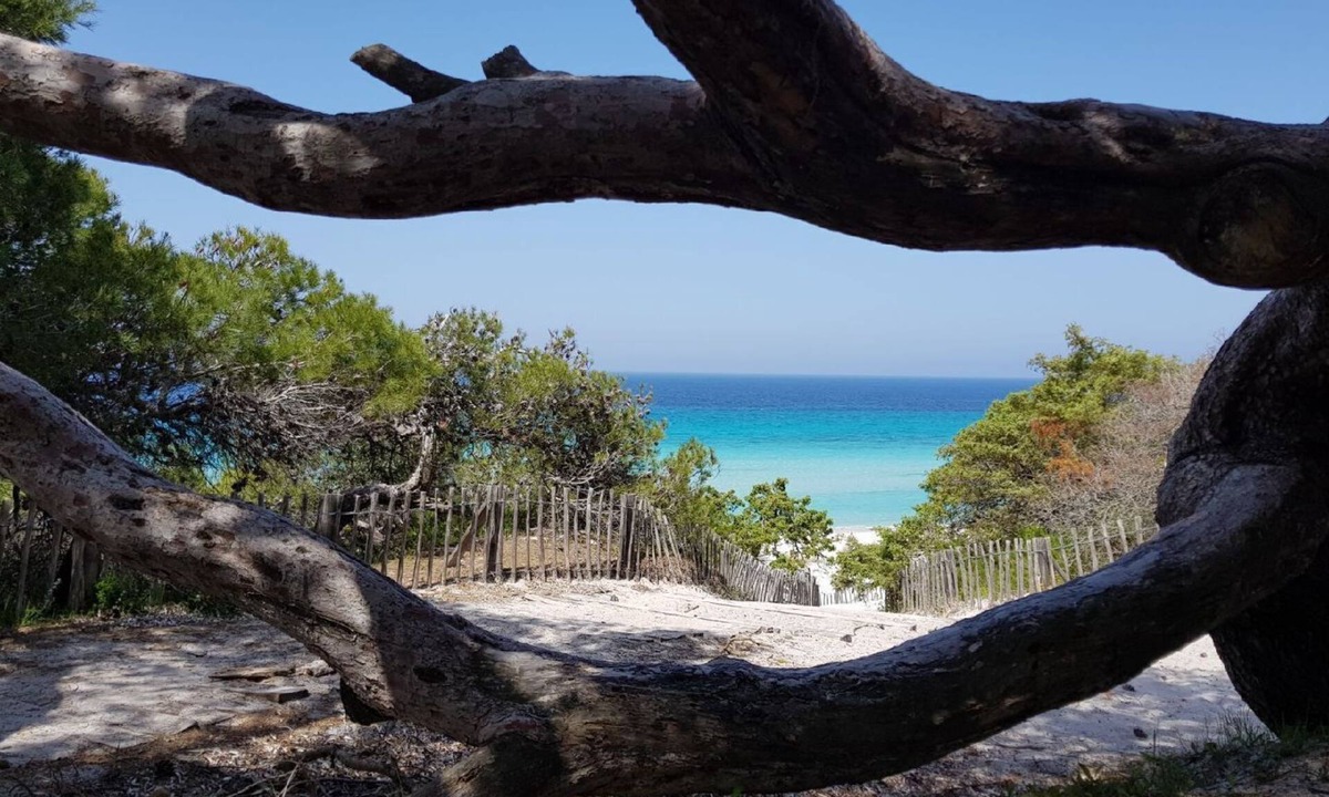 Calvi Apartment | T3 4P terrace garage air conditioning wifi beach and shops 2 mn away