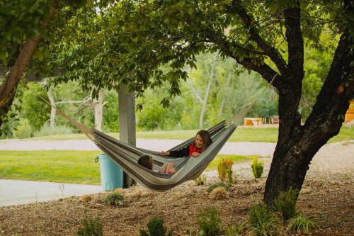 Glendale House | The Blue Jay at Zen Zion