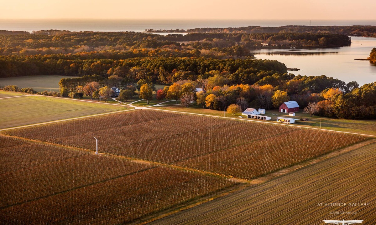 Birdsnest House | The Farmhouse at Chatham Vineyards