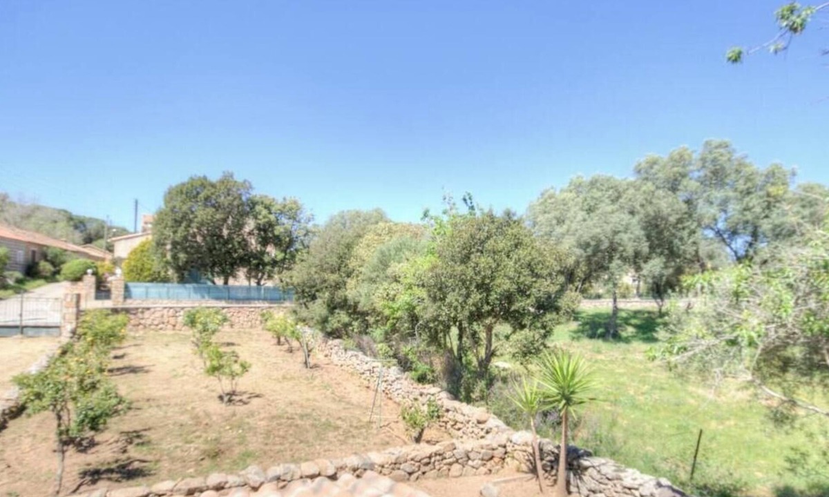 Sartene House | The orange tree villa