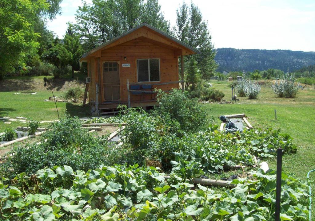 Glendale Cabin | The Wandering Star Inn