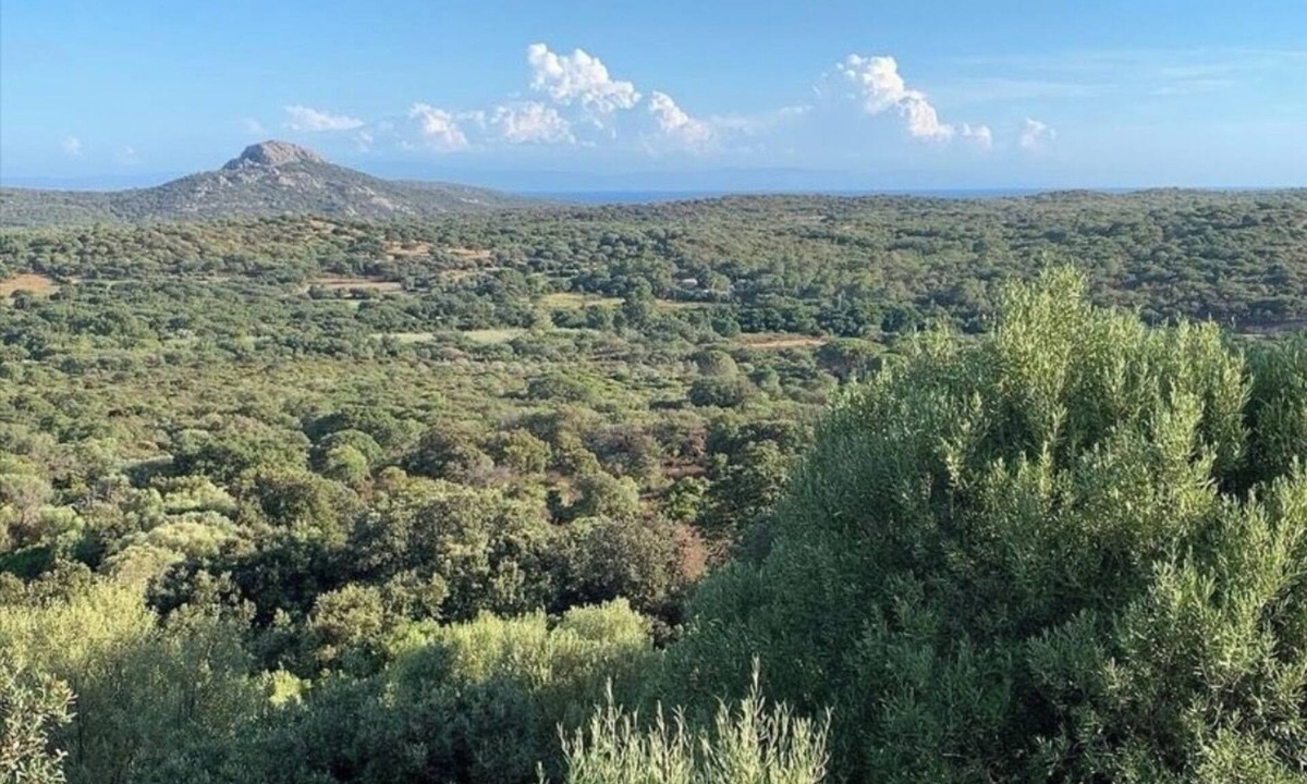 Monacia-d'Aullene House | Villa L'Ortu Corse du Sud 6 people