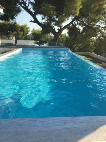 Saronikos House | Villa tranquility
