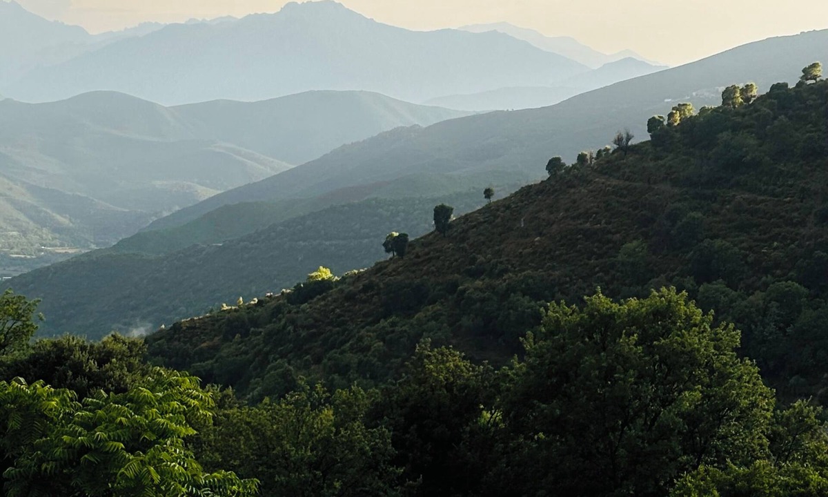 Campitello Bed & Breakfast | Village house in the Corsican mountains, quiet, authentic, terrace with view