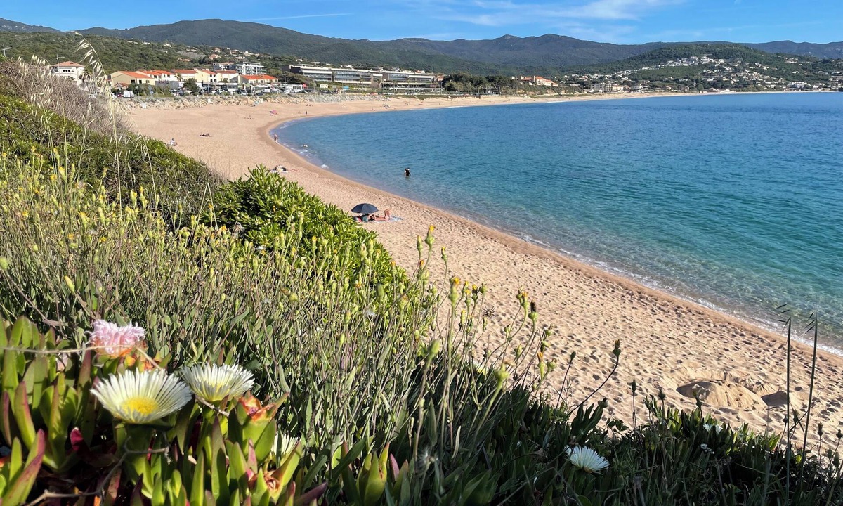 Molini Apartment | Wonderful 2-bedroom apartment in welcoming Albitreccia near the beach