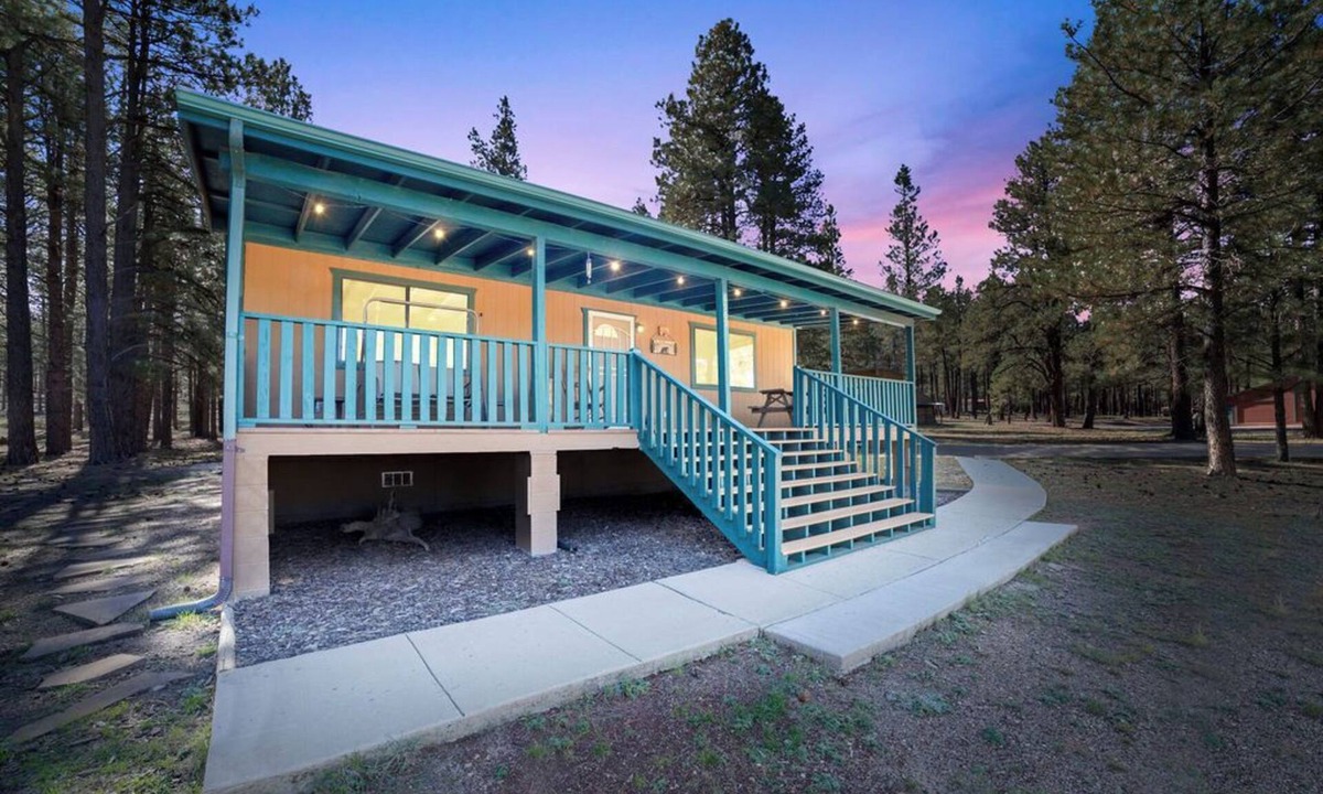 Parks Cabin | Your Forest Escape! Peaceful, Playful, Unforgettable!