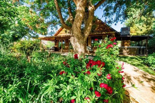 Virgin Villa | Zion's Cabin and Boujee Barn
