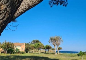 Holiday homes in Poggio-Mezzana, France