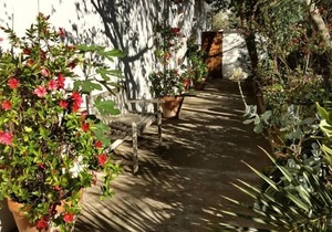 Studio & large garden 200m Calvi beach