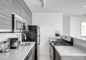 Upscale South Loop 1BR nr L & Grant Park, by Blueground