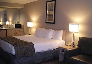 Vacation At its Finest! FREE Parking and Indoor Pool, Near Boise Art Museum!