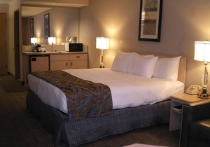 Vacation At its Finest! FREE Parking and Indoor Pool, Near Boise Art Museum!