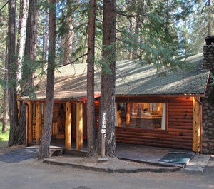 Tuolumne Meadow 