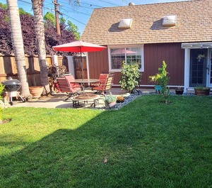 The Backyard 