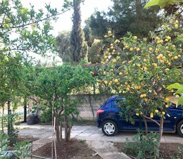 Rafina House | Δωμάτιο με λουτρό σε εξοχικό σπίτι Ραφήνα